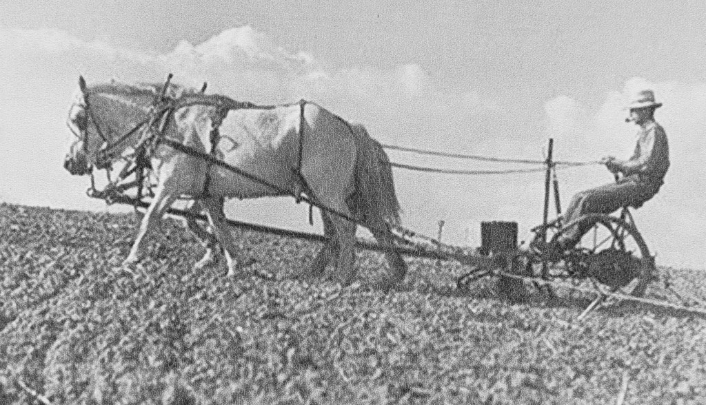 Bennington’s Agricultural Roots: A Legacy of Land and&nbsp;Innovation