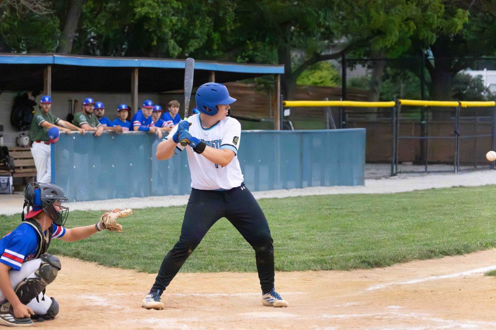 A baseball player prepares to bat while a catcher crouches behind home plate. Several players are visible in the background watching the game.