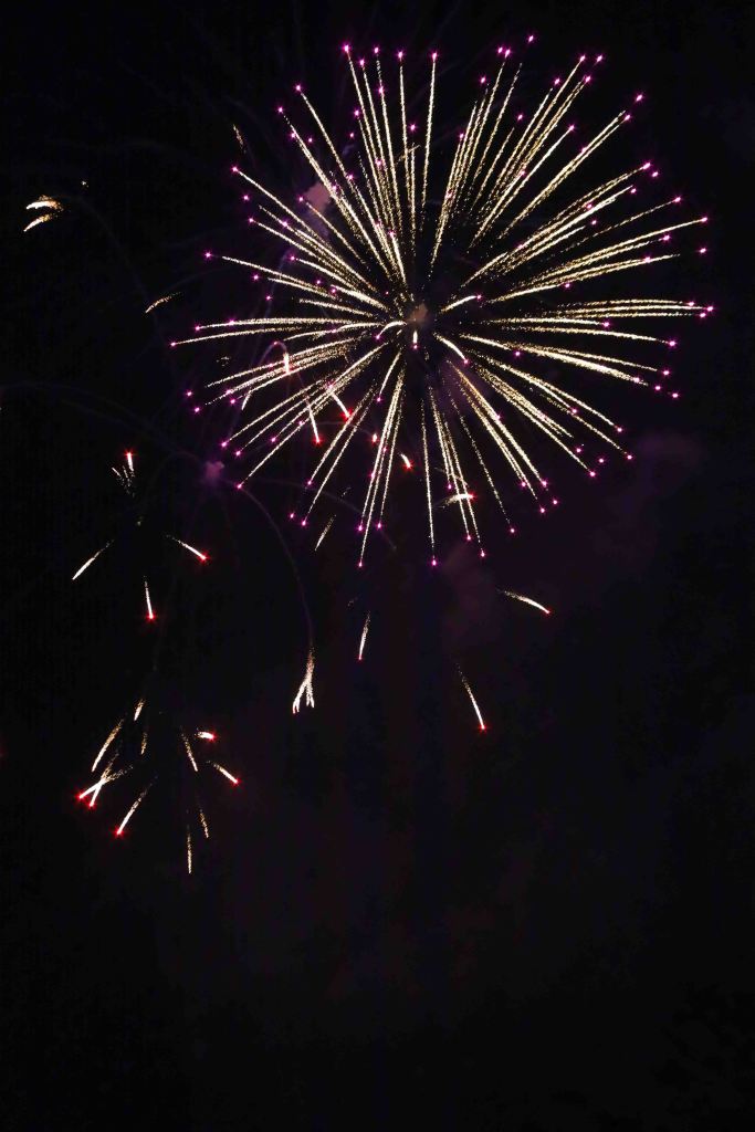Colorful fireworks bursting in the night sky with golden and purple sparks.