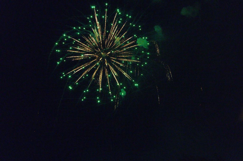 A green firework burst radiating in the night sky.