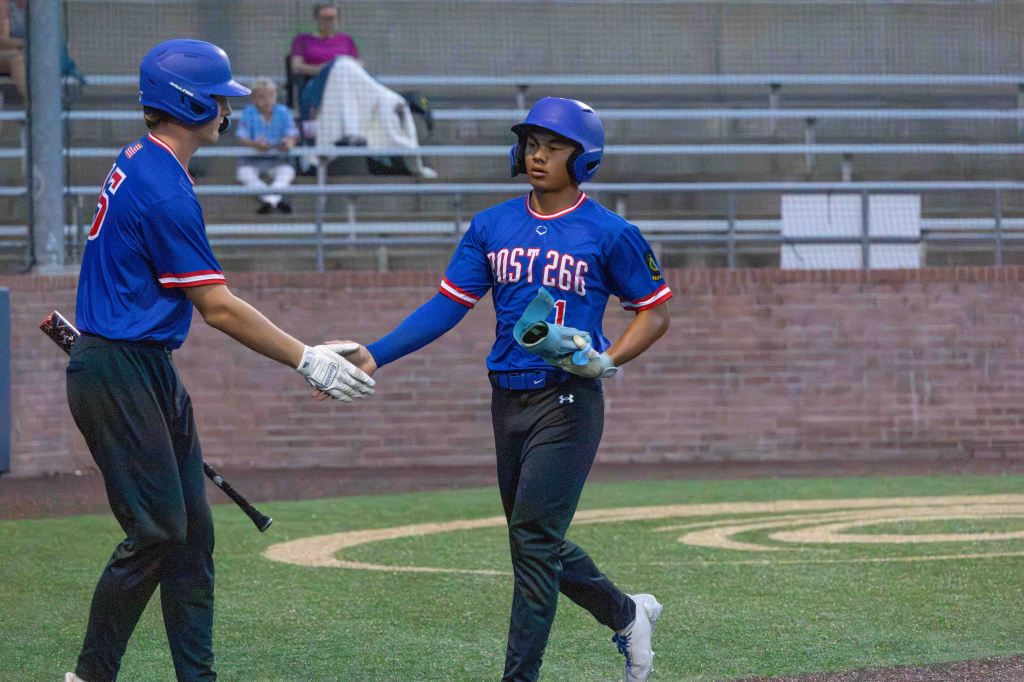 Two young baseball players in blue uniforms shake hands on a baseball field. One player is wearing a helmet, while the other holds a bat.