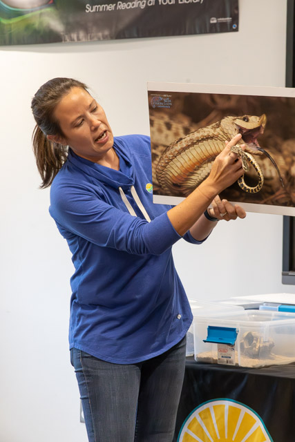 A woman in a blue shirt is presenting an image of a snake while explaining something, with a display table and educational materials in the background.