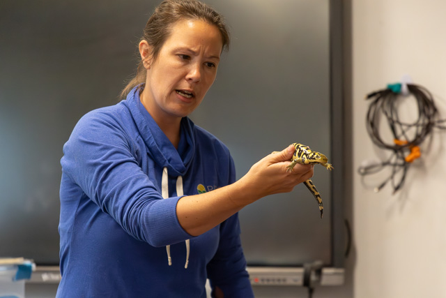A woman holding a yellow and black striped snake while speaking, with a serious expression, in a classroom setting.
