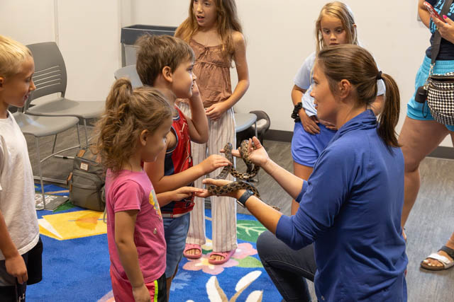 A group of children observing an adult holding a snake during an educational session in a classroom setting.