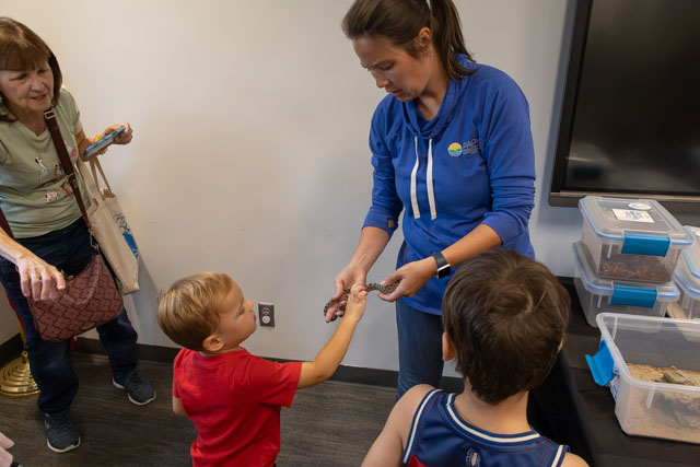 A woman interacts with children, showing them an animal while an adult observes. The children are engaged and curious.