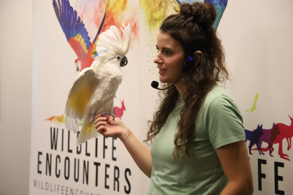 A woman wearing a headset holds a white cockatoo on her hand, standing in front of a colorful Wildlife Encounters banner.
