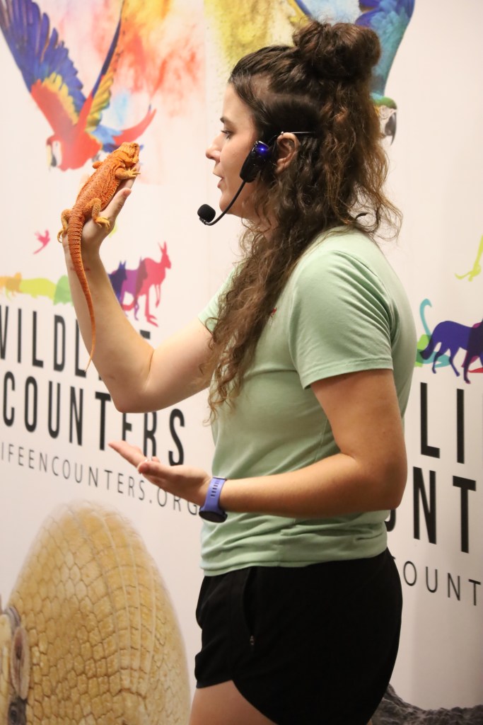 A young woman wearing a green shirt and a headset holds a bearded dragon in front of a colorful backdrop featuring various animals.