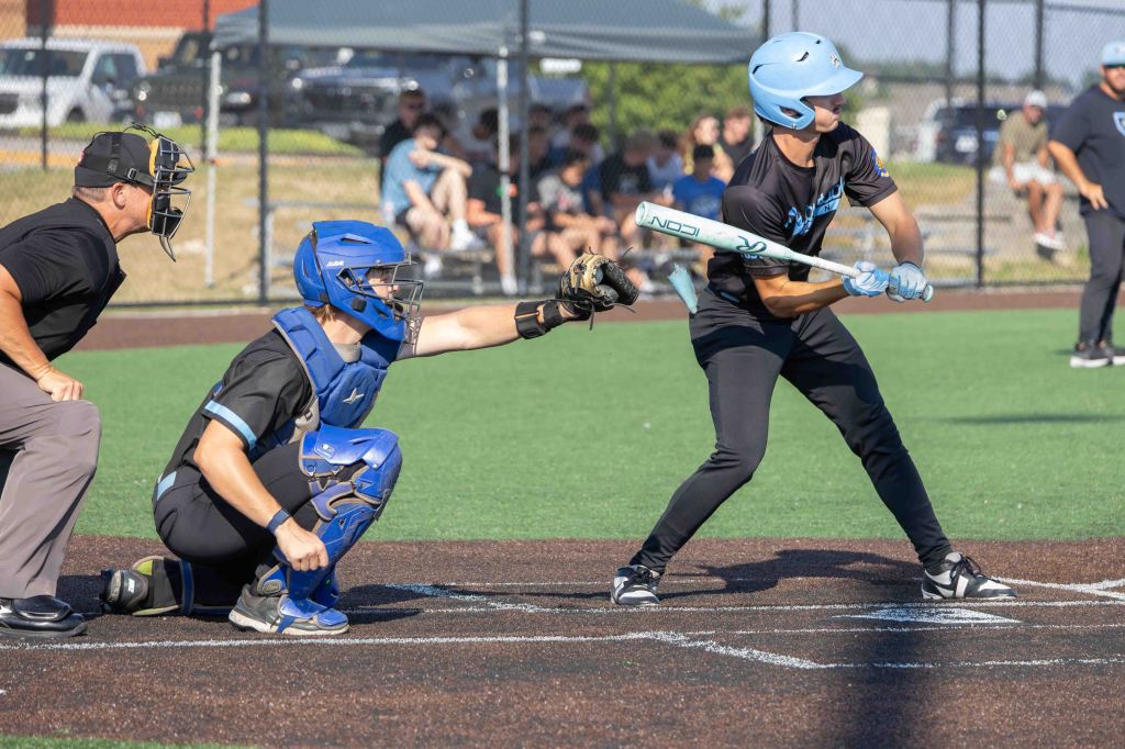 A baseball player prepares to swing a bat while a catcher signals from behind the home plate, with an umpire behind him, and spectators in the background.