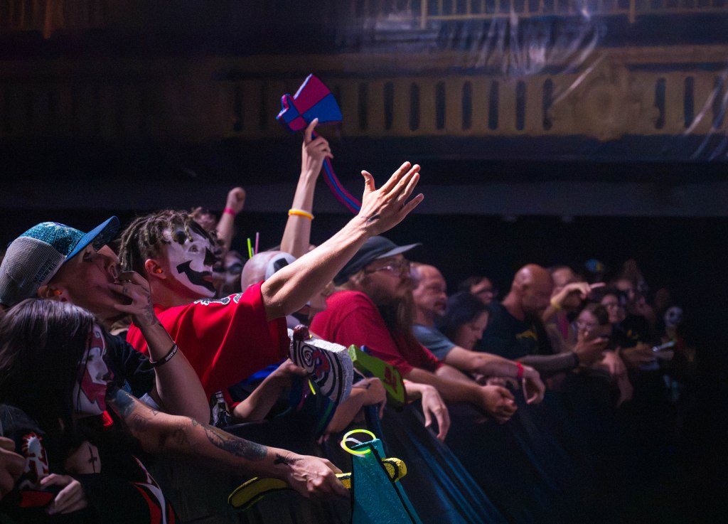 A lively crowd at a music concert, with attendees wearing face paint and various outfits, expressing excitement and energy.