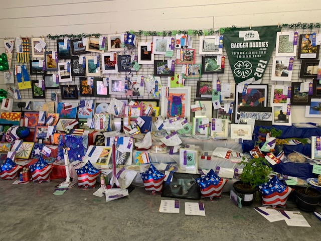 Display of various artwork and projects showcased on a wall, surrounded by plants and decorated with ribbons and awards.