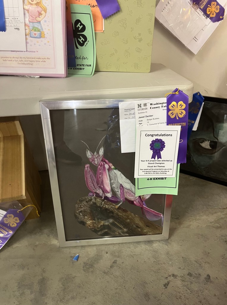 A framed art piece featuring a colorful insect sculpture displayed on a table, accompanied by ribbons and awards from a county fair, showcasing achievements in 4-H exhibits.