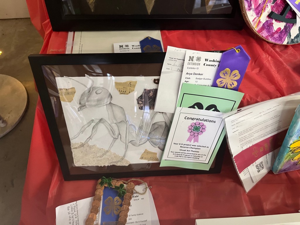 A framed artistic drawing of an ant surrounded by various 4-H project materials, including ribbons and certificates on a red table.