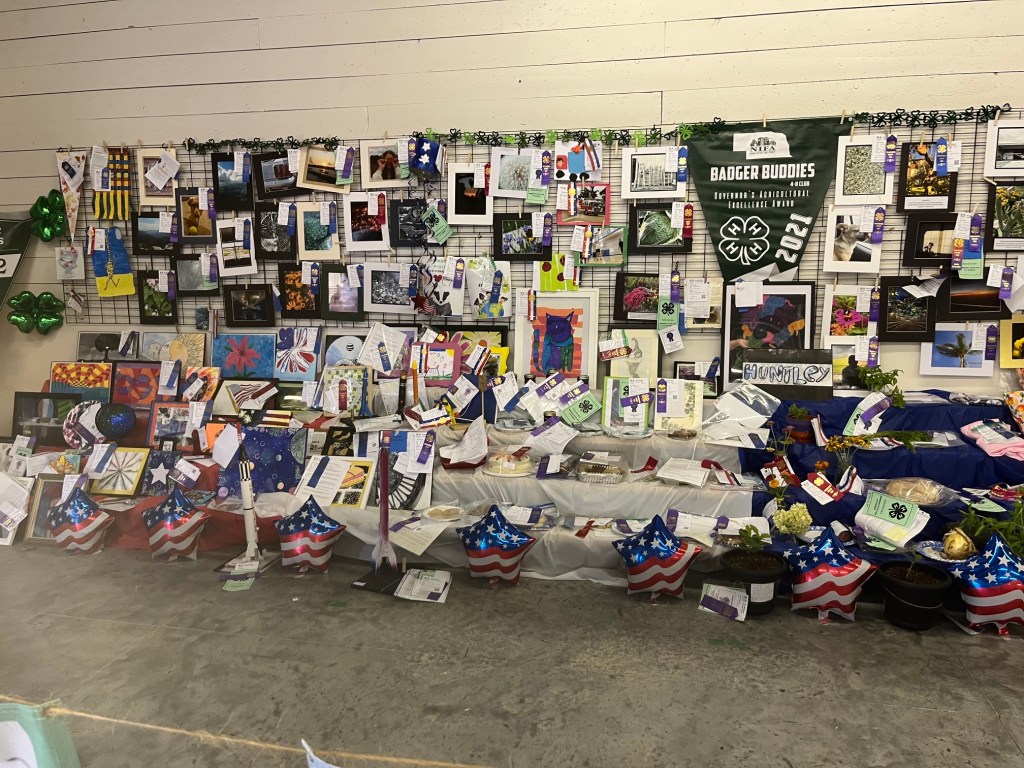 A display of various artworks and projects at a fair, featuring colorful paintings, photos, and floral arrangements, surrounded by ribbons and awards. The backdrop includes a banner for 'Badger Buddies' and patriotic decorations.