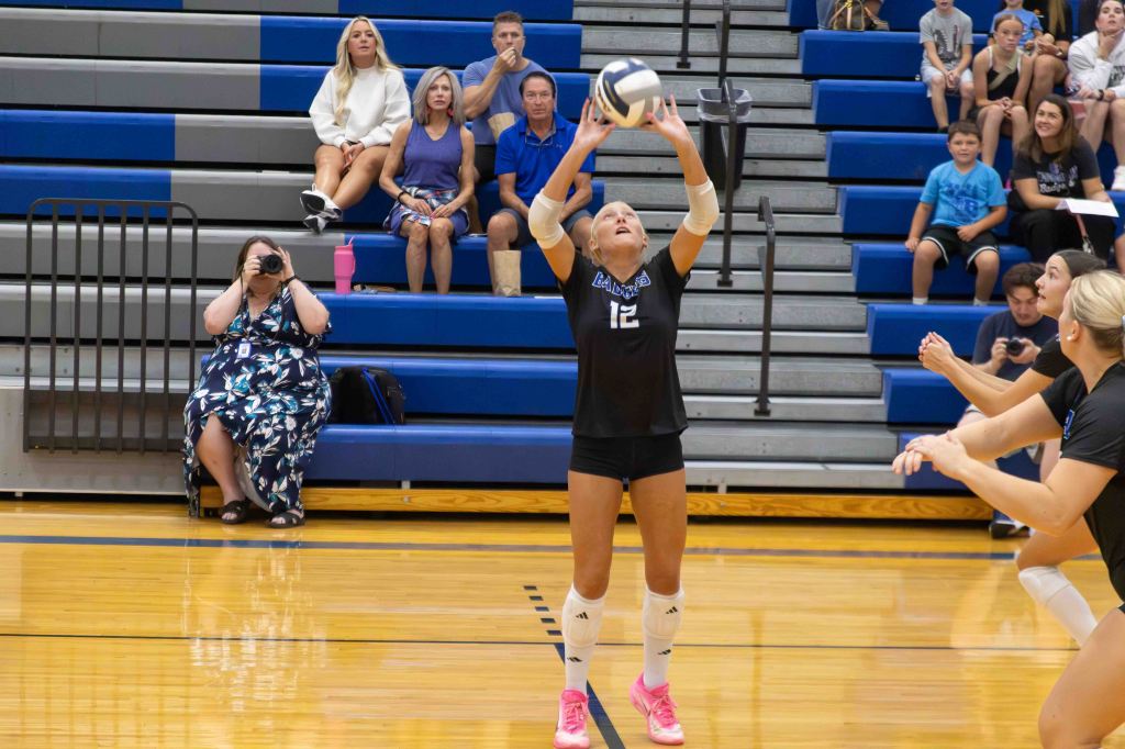 A volleyball player in a black uniform with the number 12 sets the ball during a game, while spectators watch in the background.