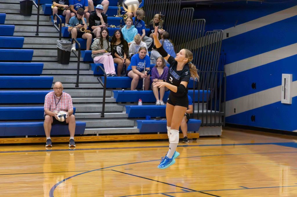 A female volleyball player in mid-air preparing to hit a volleyball, with spectators sitting in bleachers in the background.
