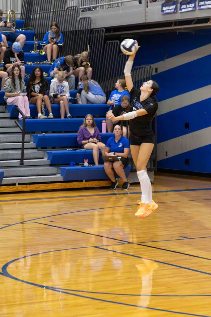 A volleyball player in mid-jump preparing to serve the ball, with spectators seated in the background.