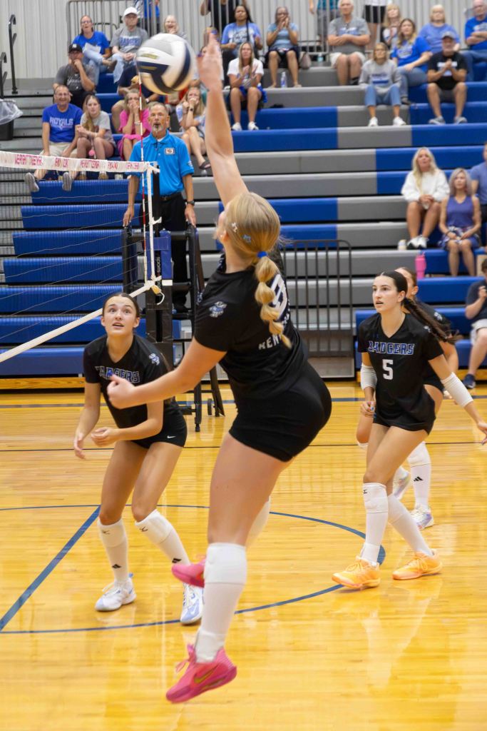 A volleyball player jumps to spike the ball during a game, while teammates watch and an audience is seated in the background.