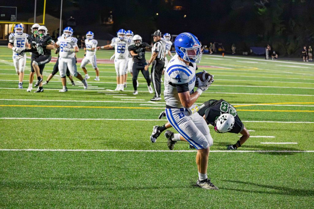 A football player in a white uniform with blue stripes catches the ball while running on a green turf field, with other players and referees in the background.