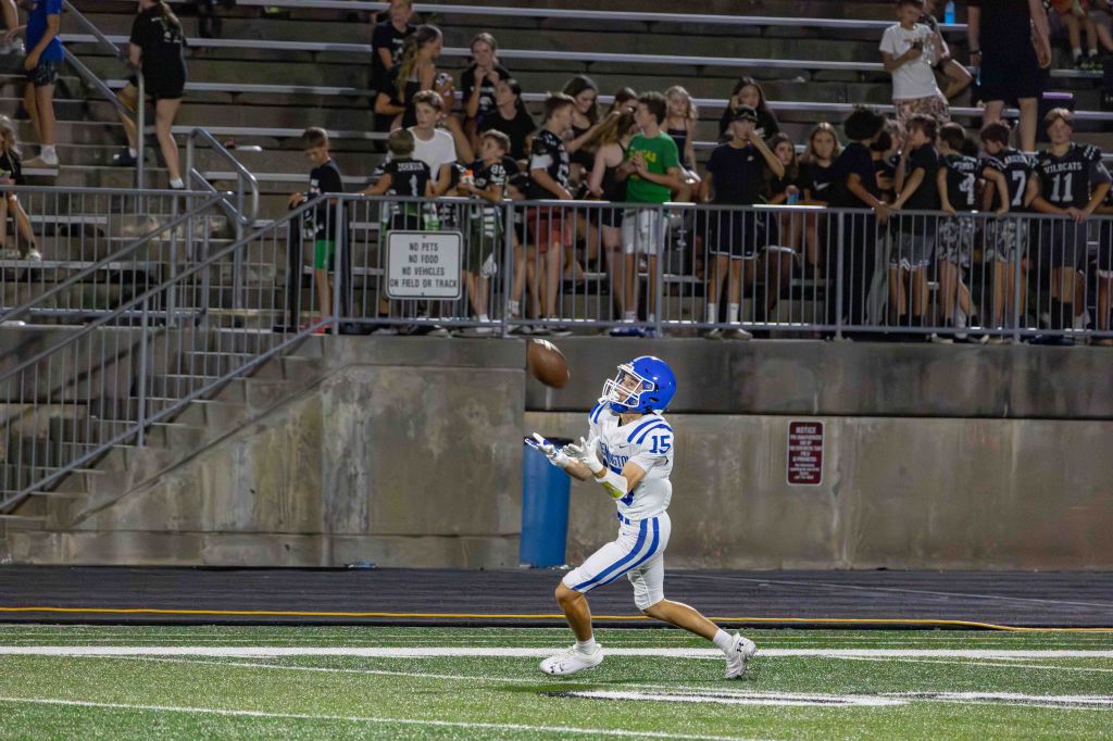 A football player in a blue helmet and uniform with the number 15 is catching a pass on the field, with a crowd of spectators visible in the background.