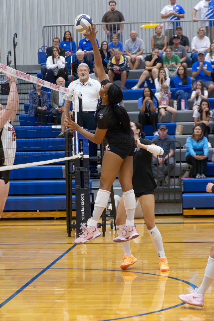 A volleyball player in black attire leaps to spike the ball over the net during a match, with spectators in the background watching intently.