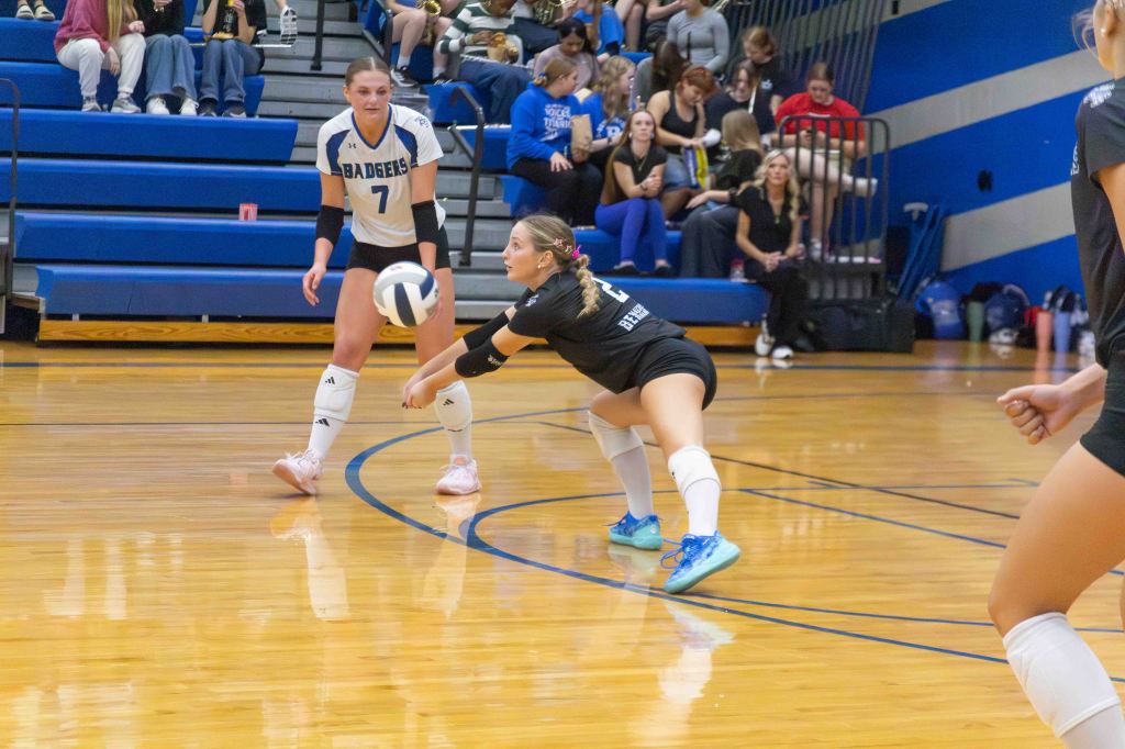 A volleyball player is in a crouched position, preparing to receive a serve, while another player stands nearby. The gymnasium is filled with spectators in the background.