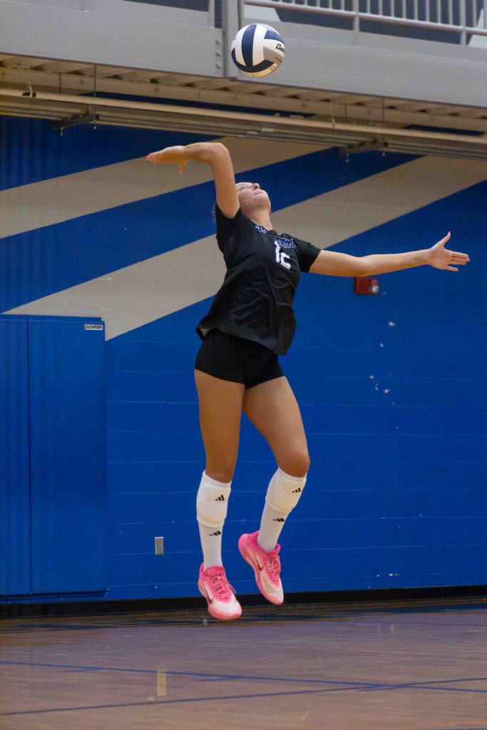 A volleyball player jumping to serve the ball, wearing a black jersey and shorts with pink shoes and white knee socks, against a blue gymnasium backdrop.