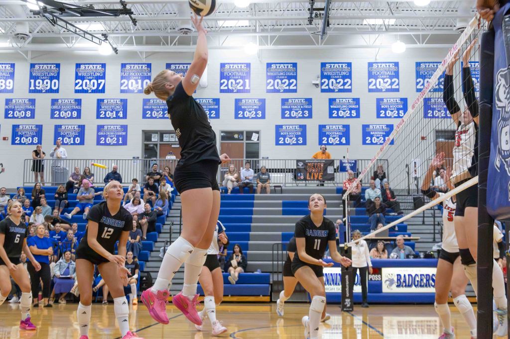 A volleyball player jumps to hit the ball during a match, with teammates observing and the audience visible in the background.