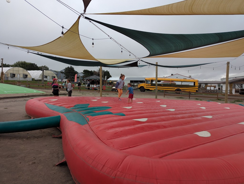 Children playing on a large inflatable strawberry-shaped bounce pad under colorful canopy sails at a recreational venue.