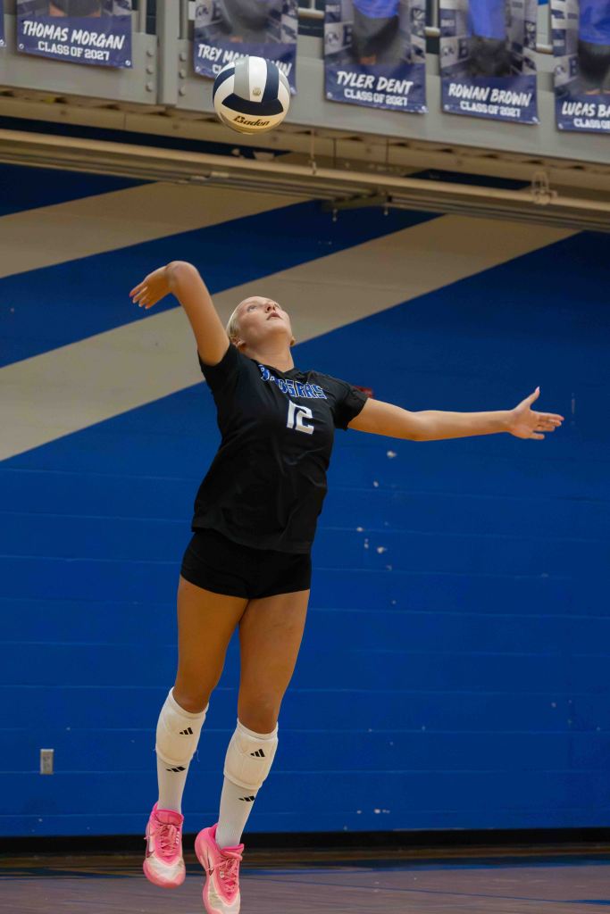 A female volleyball player jumping to serve a ball during a game, wearing a black jersey with the number 12, black shorts, and pink shoes, with blue wall banners in the background.