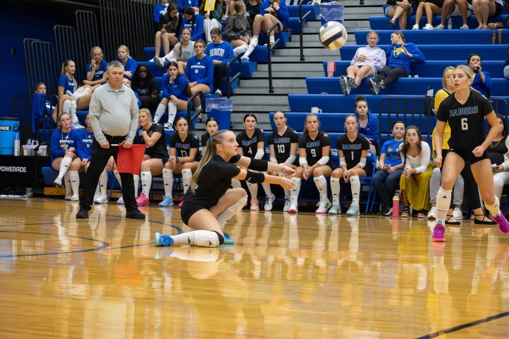A volleyball game in progress, featuring a player diving to receive the ball while teammates and spectators watch from the sidelines.