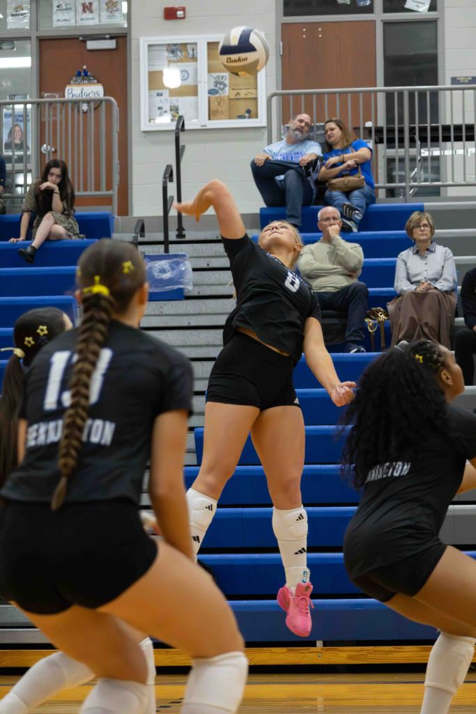 A volleyball player jumps to spike the ball during a match, while teammates prepare for the play in the foreground. Spectators watch from the stands in the background.
