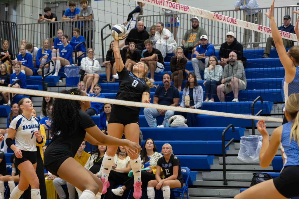 Volleyball player jumping to set the ball over the net during a game, while teammates and spectators watch from the sidelines.