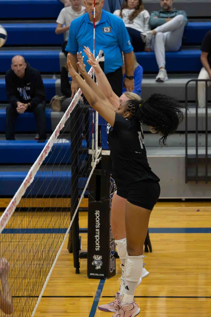 Two volleyball players jumping at the net to block an incoming ball during a match, with spectators in the background.