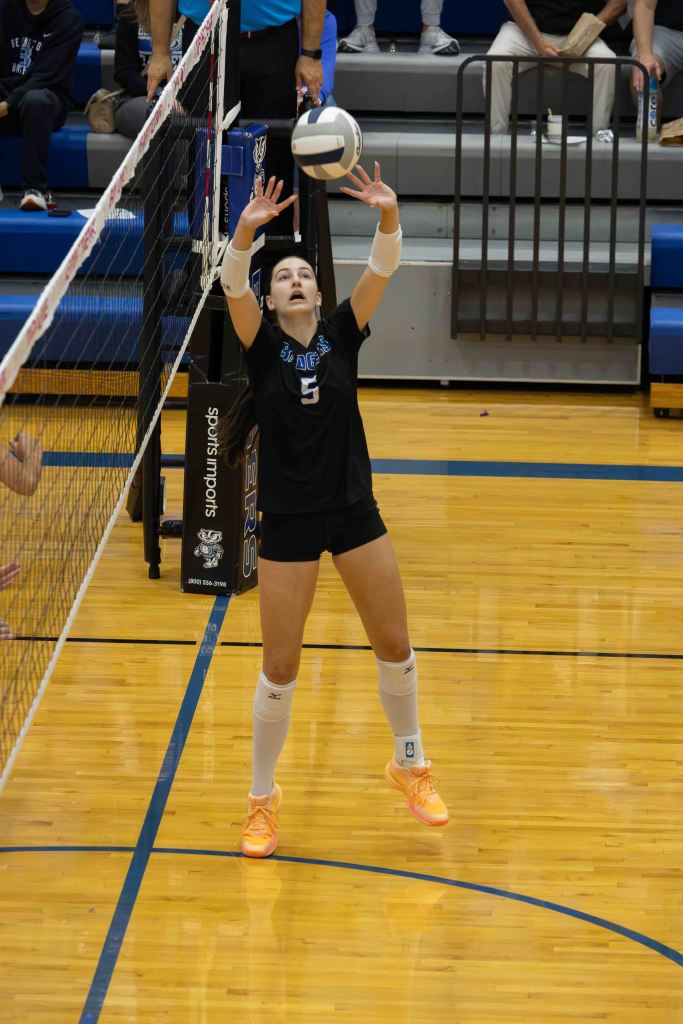 A volleyball player in a black uniform with the number 5 sets the ball with both hands while standing on the court. The background shows various spectators in a gymnasium.
