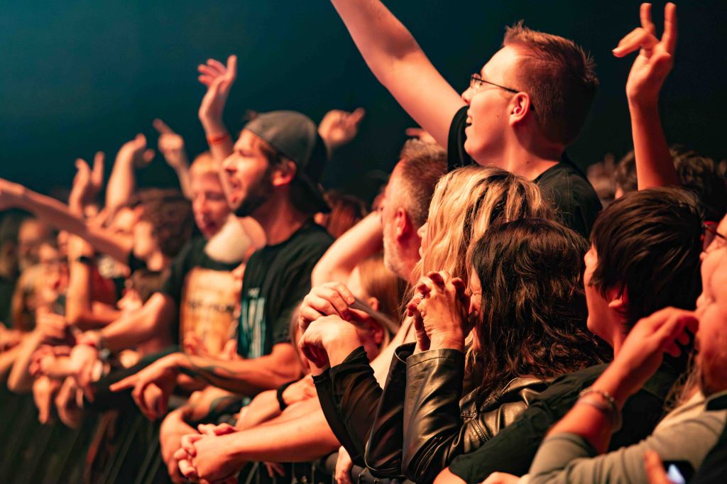 A crowd of enthusiastic concertgoers with arms raised, enjoying live music.